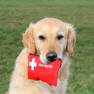 Cat & Dog First Aid
